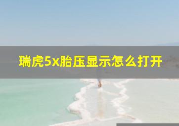 瑞虎5x胎压显示怎么打开