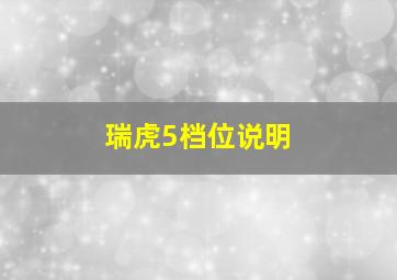 瑞虎5档位说明