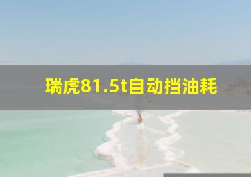 瑞虎81.5t自动挡油耗