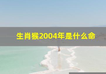 生肖猴2004年是什么命