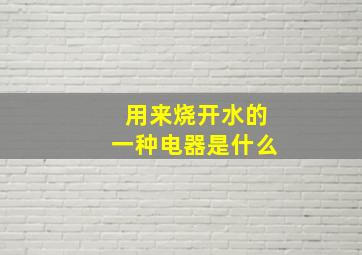 用来烧开水的一种电器是什么