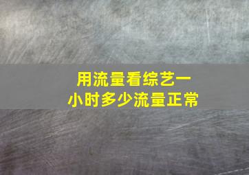 用流量看综艺一小时多少流量正常