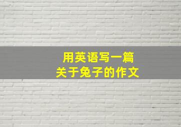 用英语写一篇关于兔子的作文