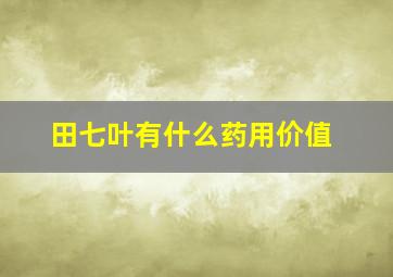 田七叶有什么药用价值