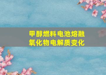 甲醇燃料电池熔融氧化物电解质变化