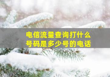 电信流量查询打什么号码是多少号的电话