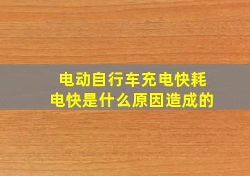 电动自行车充电快耗电快是什么原因造成的