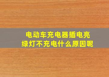 电动车充电器插电亮绿灯不充电什么原因呢