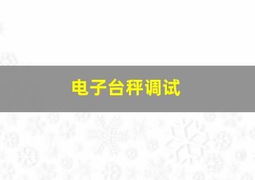 电子台秤调试