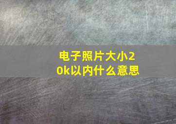 电子照片大小20k以内什么意思