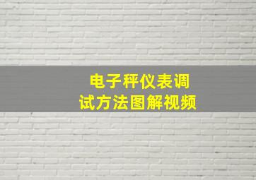 电子秤仪表调试方法图解视频