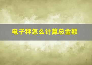 电子秤怎么计算总金额