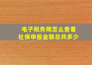 电子税务局怎么查看社保申报金额总共多少