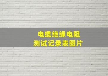 电缆绝缘电阻测试记录表图片