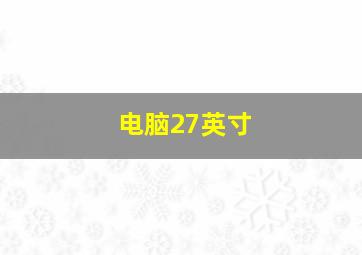 电脑27英寸