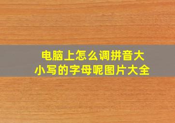 电脑上怎么调拼音大小写的字母呢图片大全