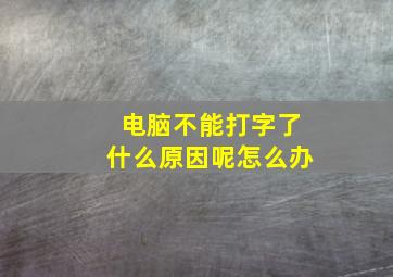 电脑不能打字了什么原因呢怎么办