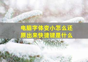 电脑字体变小怎么还原出来快捷键是什么