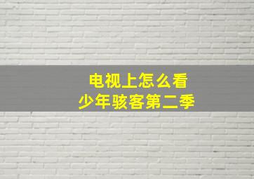 电视上怎么看少年骇客第二季