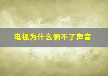 电视为什么调不了声音