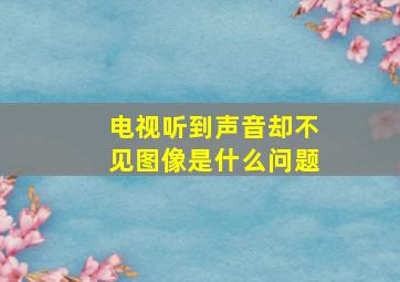 电视听到声音却不见图像是什么问题