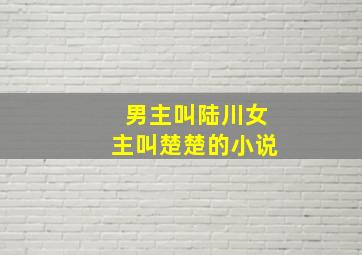 男主叫陆川女主叫楚楚的小说