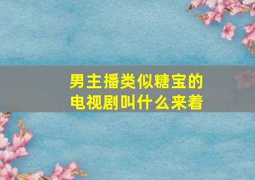 男主播类似糖宝的电视剧叫什么来着