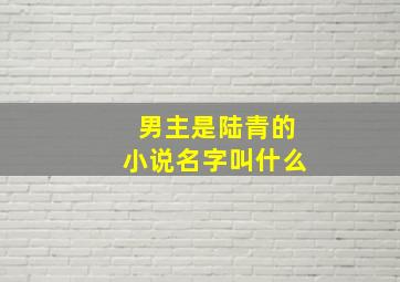 男主是陆青的小说名字叫什么