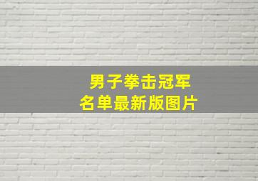 男子拳击冠军名单最新版图片