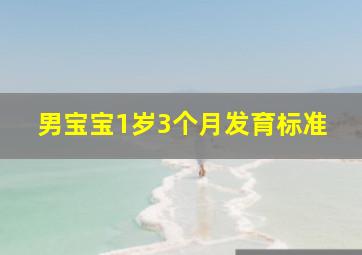 男宝宝1岁3个月发育标准