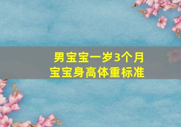 男宝宝一岁3个月宝宝身高体重标准