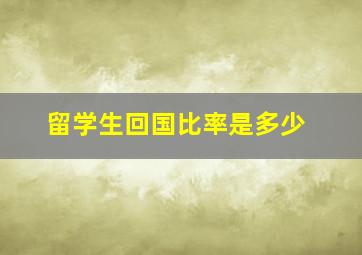 留学生回国比率是多少