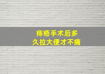 痔疮手术后多久拉大便才不痛