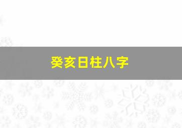 癸亥日柱八字