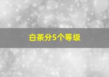 白茶分5个等级