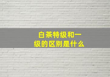 白茶特级和一级的区别是什么