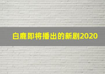 白鹿即将播出的新剧2020