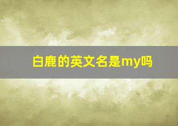 白鹿的英文名是my吗