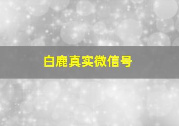 白鹿真实微信号