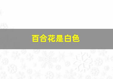 百合花是白色