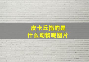 皮卡丘指的是什么动物呢图片