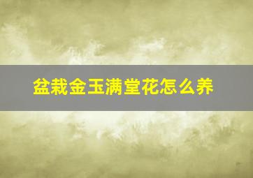 盆栽金玉满堂花怎么养