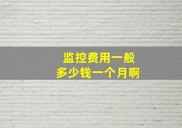 监控费用一般多少钱一个月啊