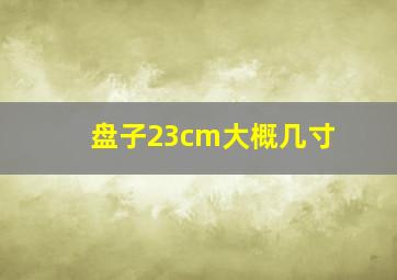 盘子23cm大概几寸