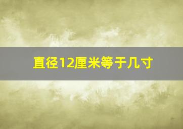 直径12厘米等于几寸