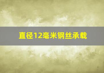 直径12毫米钢丝承载