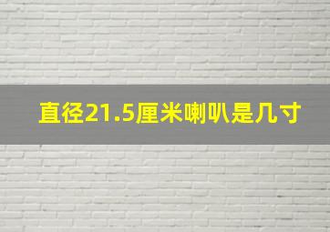 直径21.5厘米喇叭是几寸