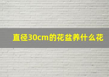 直径30cm的花盆养什么花