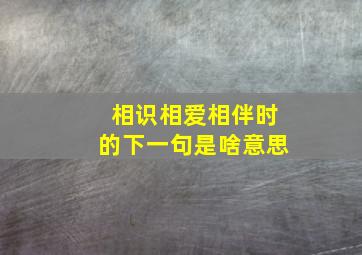 相识相爱相伴时的下一句是啥意思