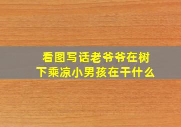 看图写话老爷爷在树下乘凉小男孩在干什么